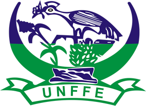 UNFFE LOGO plain