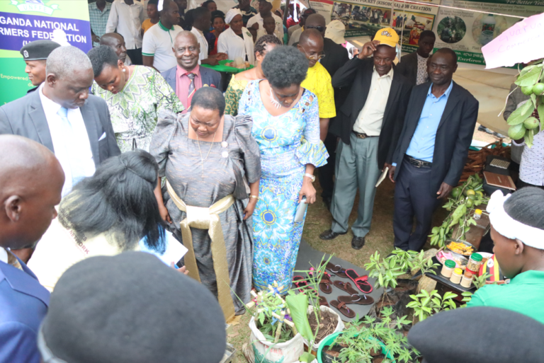 UNFFE Tent 1 1 768x513