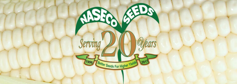 naseco logo 768x274