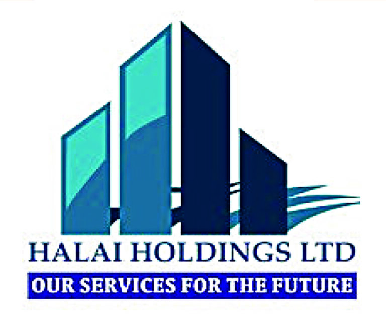 Halai Holdings Construction 768x654