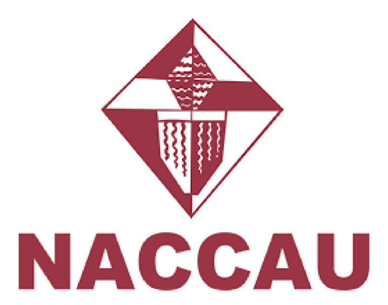 National Arts and Cultural Crafts Association of Uganda NACCAU 768x604