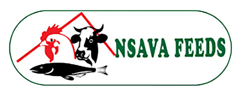 nsava Feeds 768x302