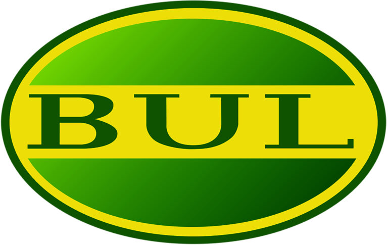 Bull logo 768x485