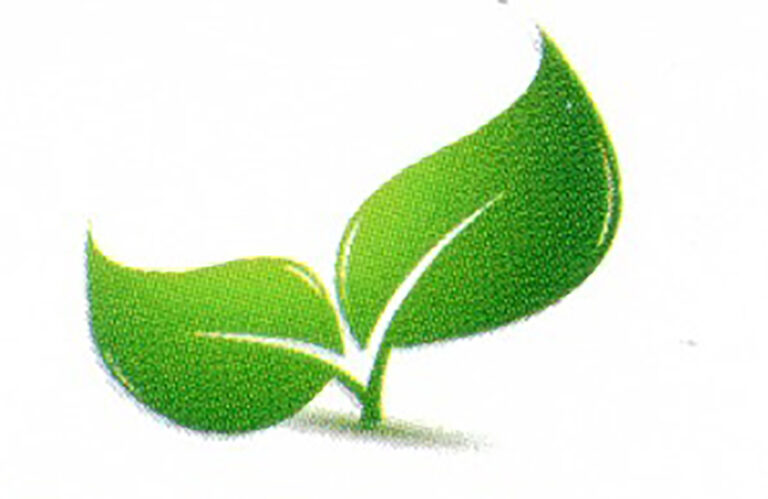 Good food EA Ltd 768x499