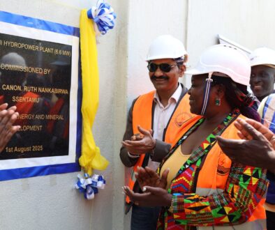 Nyagak III hydro Project Plant Launched