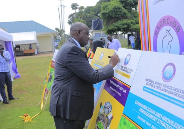 Rwamirama unveils animal breeding plan